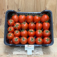 Tomates Pera - Selección de Tomates -2- Lo mejor de la fruta