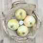 Cebollas Dulces - Patatas, Cebollas y Ajos -1- Lo mejor de la fruta