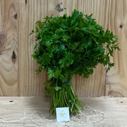 Perejil Fresco - Hierbas Aromáticas -1- Lo mejor de la fruta