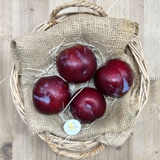 Ciruelas Negras Importación - Tropicales -1- Lo mejor de la fruta