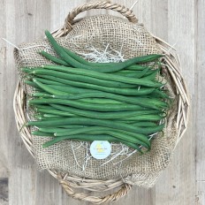 Judías Finas - Verduras -1- Lo mejor de la fruta