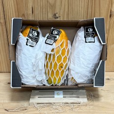 Papayas Maduradas en planta - Tropicales -3- Lo mejor de la fruta