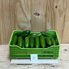 Pepinos Snack - Verduras -6- Lo mejor de la fruta