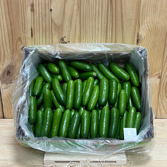 Pepinos Snack - Verduras -8- Lo mejor de la fruta