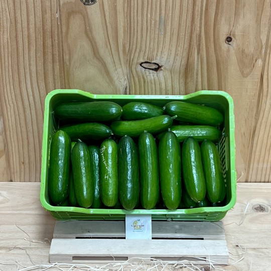 Pepinos Snack - Verduras -7- Lo mejor de la fruta