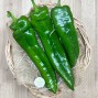 Pimientos Italianos - Verduras -1- Lo mejor de la fruta
