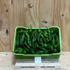 Pimientos De Padrón - Verduras -6- Lo mejor de la fruta