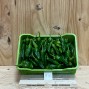 Pimientos De Padrón - Verduras -6- Lo mejor de la fruta