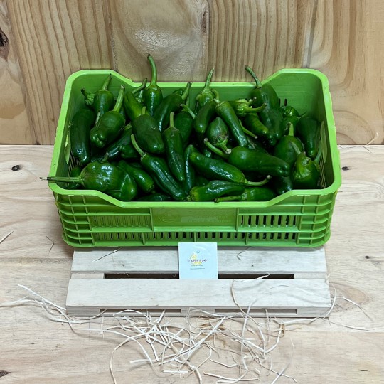Pimientos De Padrón - Verduras -7- Lo mejor de la fruta