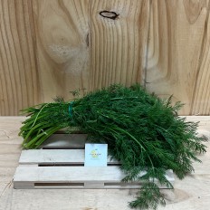 Eneldo Fresco - Hierbas Aromáticas -2- Lo mejor de la fruta