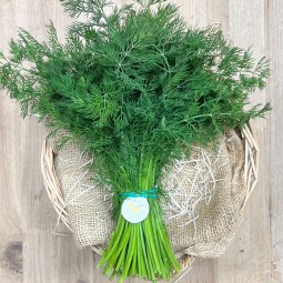 Eneldo Fresco - Hierbas Aromáticas -1- Lo mejor de la fruta