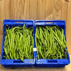 Habas Tiernas - Verduras -3- Lo mejor de la fruta
