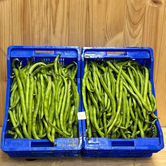 Habas Tiernas - Verduras -3- Lo mejor de la fruta