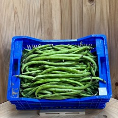 Habas Tiernas - Verduras -2- Lo mejor de la fruta