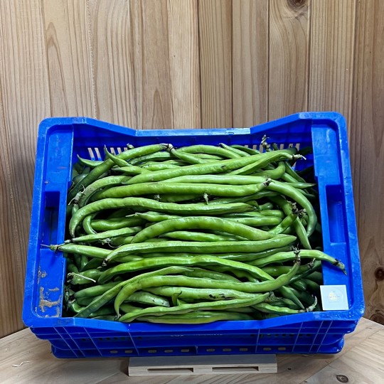 Habas Tiernas - Verduras -2- Lo mejor de la fruta