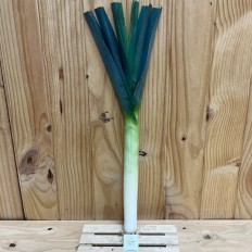 Puerros Tiernos - Verduras -3- Lo mejor de la fruta