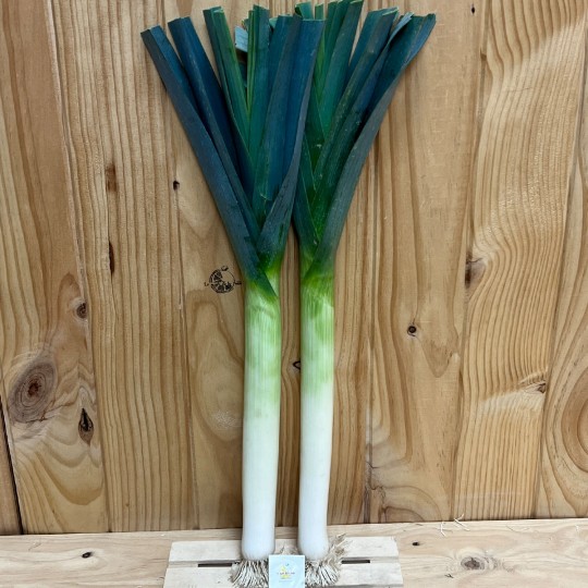 Puerros Tiernos - Verduras -2- Lo mejor de la fruta