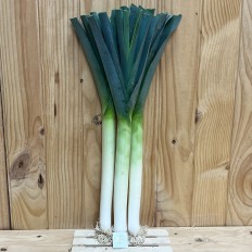 Puerros - Verduras -1- Lo mejor de la fruta