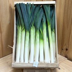 Puerros Tiernos - Verduras -4- Lo mejor de la fruta