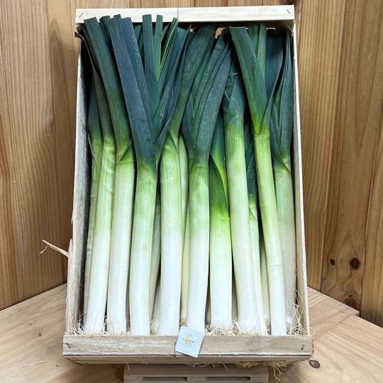 Puerros - Verduras -4- Lo mejor de la fruta