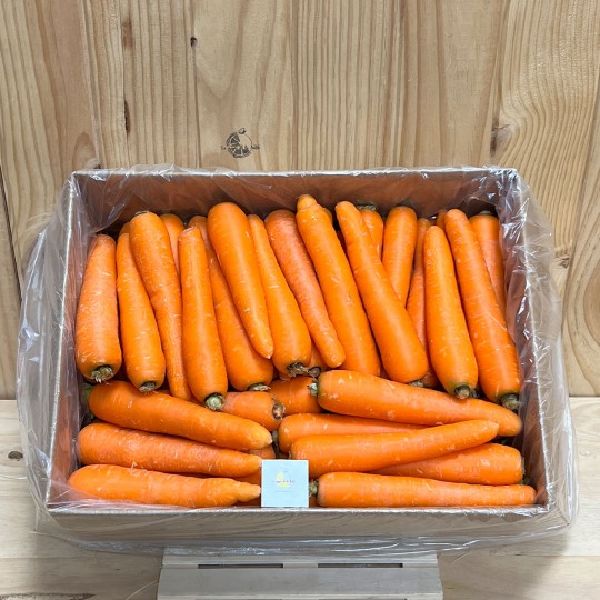 Zanahorias tiernas - Verduras -5- Lo mejor de la fruta