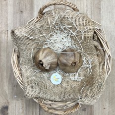 Ajo Negro - Patatas, Cebollas y Ajos -1- Lo mejor de la fruta