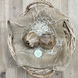 Ajo Negro - Patatas, Cebollas y Ajos -1- Lo mejor de la fruta