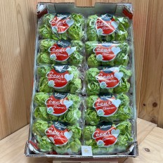 Corazones de Lechuga - Verduras -4- Lo mejor de la fruta