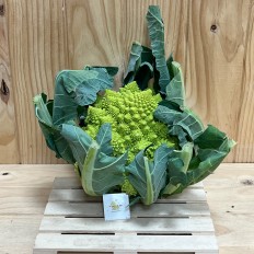 Romanescu - Verduras -2- Lo mejor de la fruta