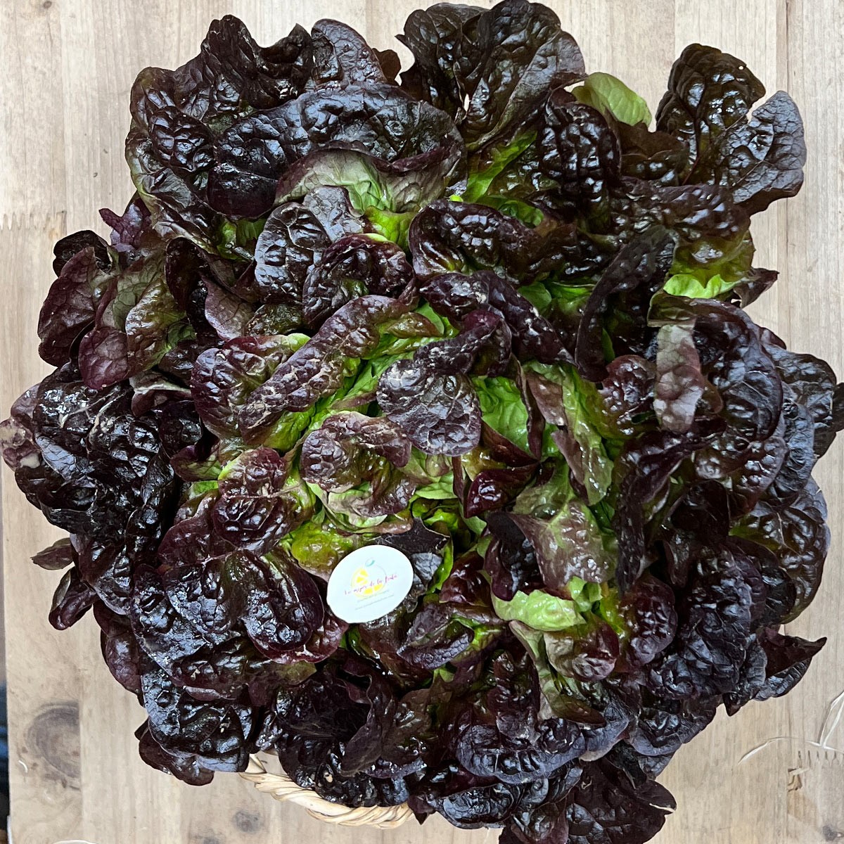 Lechugas Hoja de Roble - Verduras -1- Lo mejor de la fruta