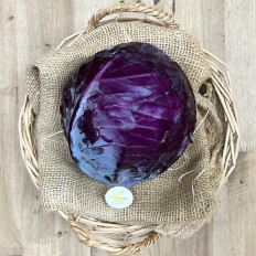 Lombarda - Verduras -1- Lo mejor de la fruta