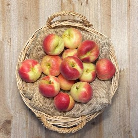 Albaricoque Mitger - Fruta de Temporada -1- Lo mejor de la fruta