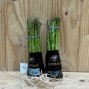 Espárragos Verdes - Verduras -2- Lo mejor de la fruta