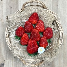 Fresas Selectas - Fruta de Temporada -1- Lo mejor de la fruta