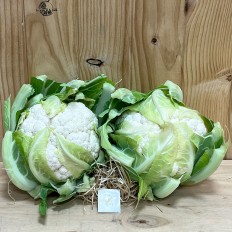 Coliflores tiernas - Verduras -3- Lo mejor de la fruta