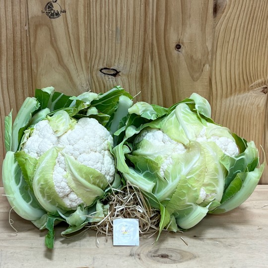 Coliflores Frescas - Verduras -3- Lo mejor de la fruta