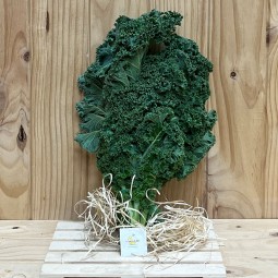 Kale - Verduras -1- Lo mejor de la fruta