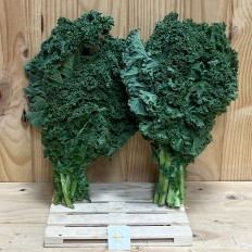 Kale - Verduras -2- Lo mejor de la fruta