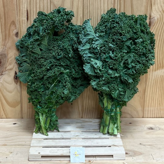 Kale - Verduras -2- Lo mejor de la fruta