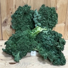 Kale - Verduras -3- Lo mejor de la fruta