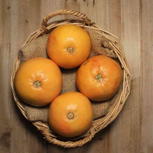 Pomelos - - Cítricos -1- Lo mejor de la fruta