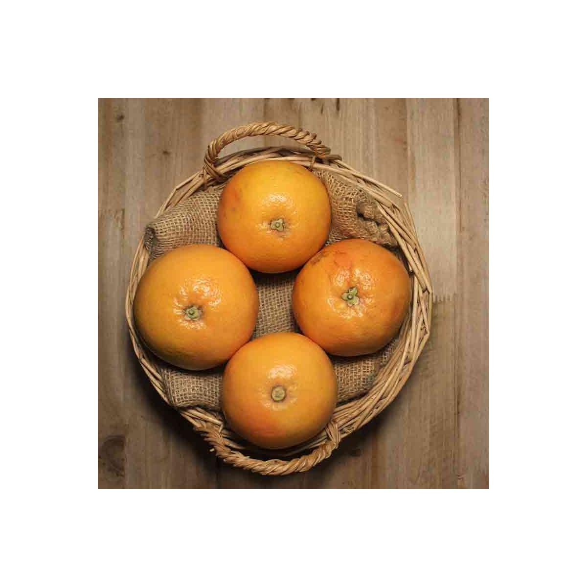 Pomelos - Cítricos -1- Lo mejor de la fruta