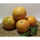 Pomelos - Cítricos -2- Lo mejor de la fruta