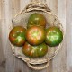 Tomate Liso del terreno - Selección de tomates -2- Lo mejor de la fruta
