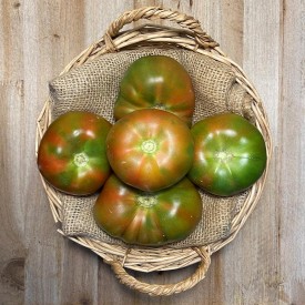 Tomates Lisos - Selección de Tomates -1- Lo mejor de la fruta