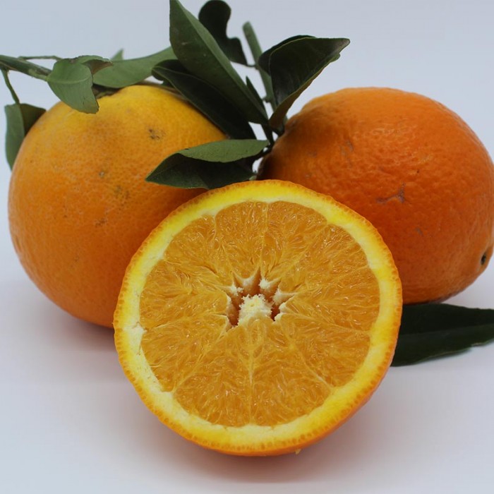 Naranjas Españolas 1ª - - Cítricos -2- Lo mejor de la fruta