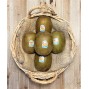 Kiwis Amarillos Zespri - Tropicales -1- Lo mejor de la fruta