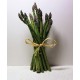 Espárragos Verdes - Verduras -2- Lo mejor de la fruta