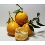 Naranjas Españolas 1ª - - Cítricos -3- Lo mejor de la fruta