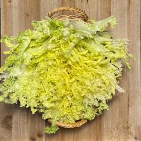 Escarolas Tiernas - Verduras -1- Lo mejor de la fruta